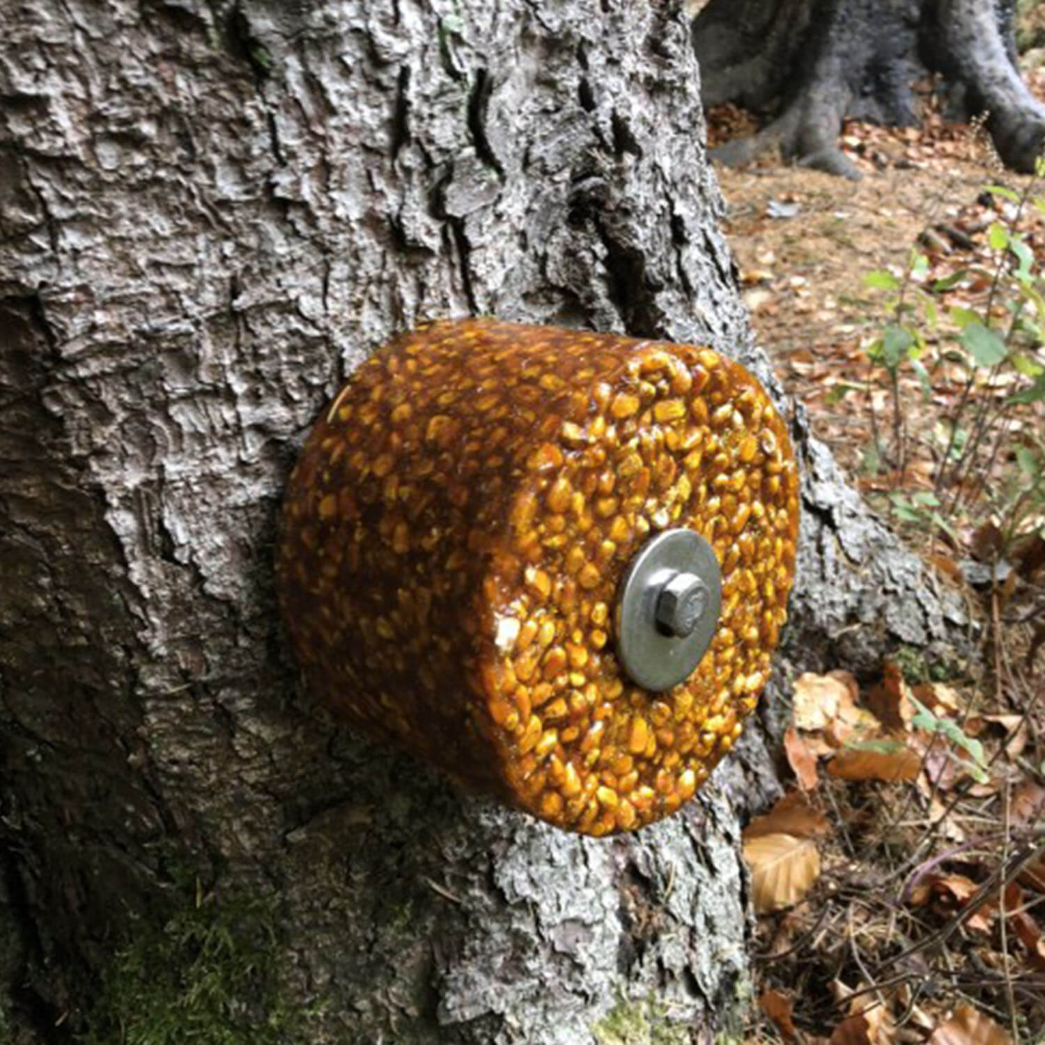 Wildlutscher Tree Installation Kit Lick Stones