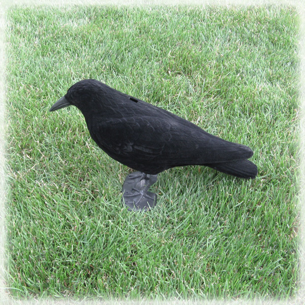 Crow Decoy - Flocked