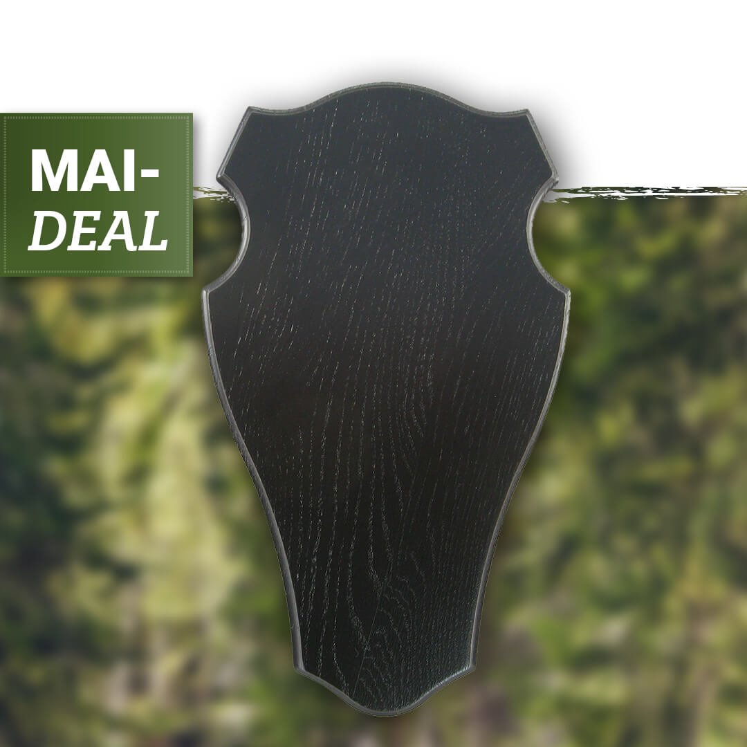 Horn boards for roebucks (dark oak, round) - Promotions