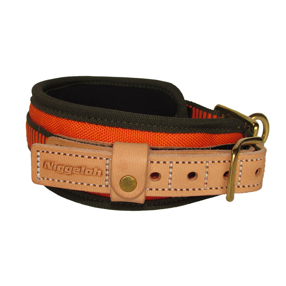 Niggeloh Blood Tracking Collar - Leashes & Collars