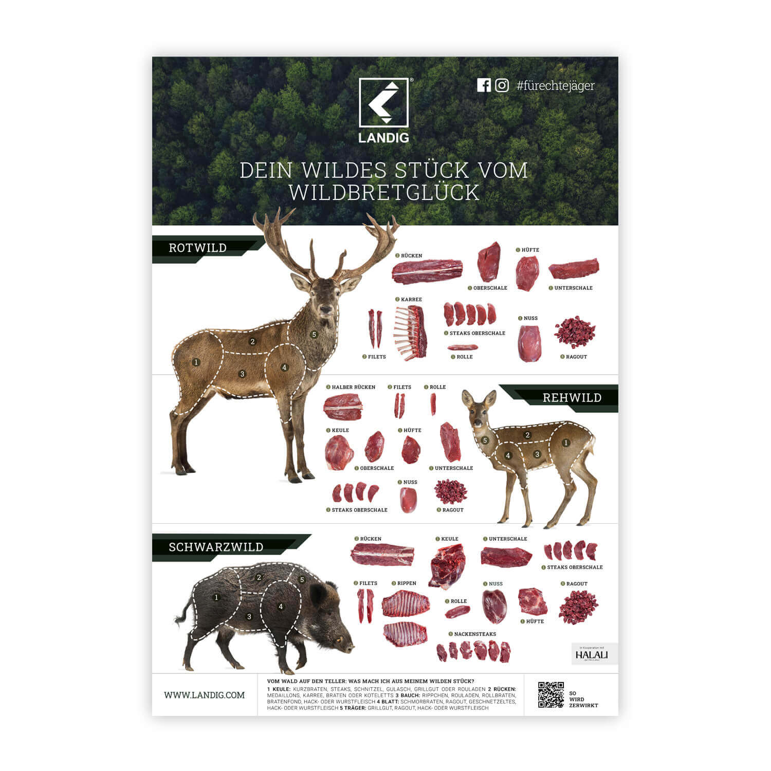 Landig venison poster - Hunting Equipment