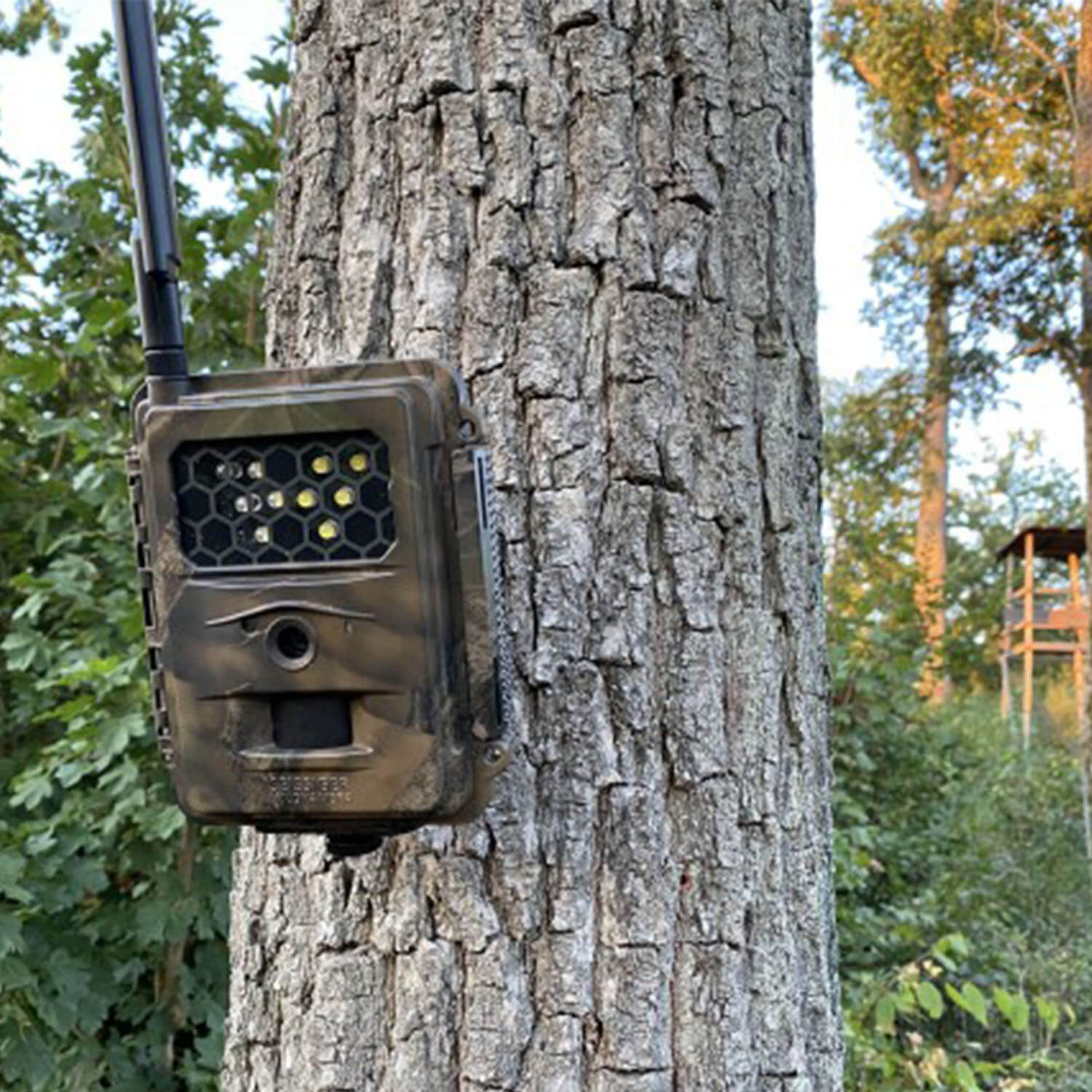 Seissiger game cam special-cam LTE light supersim