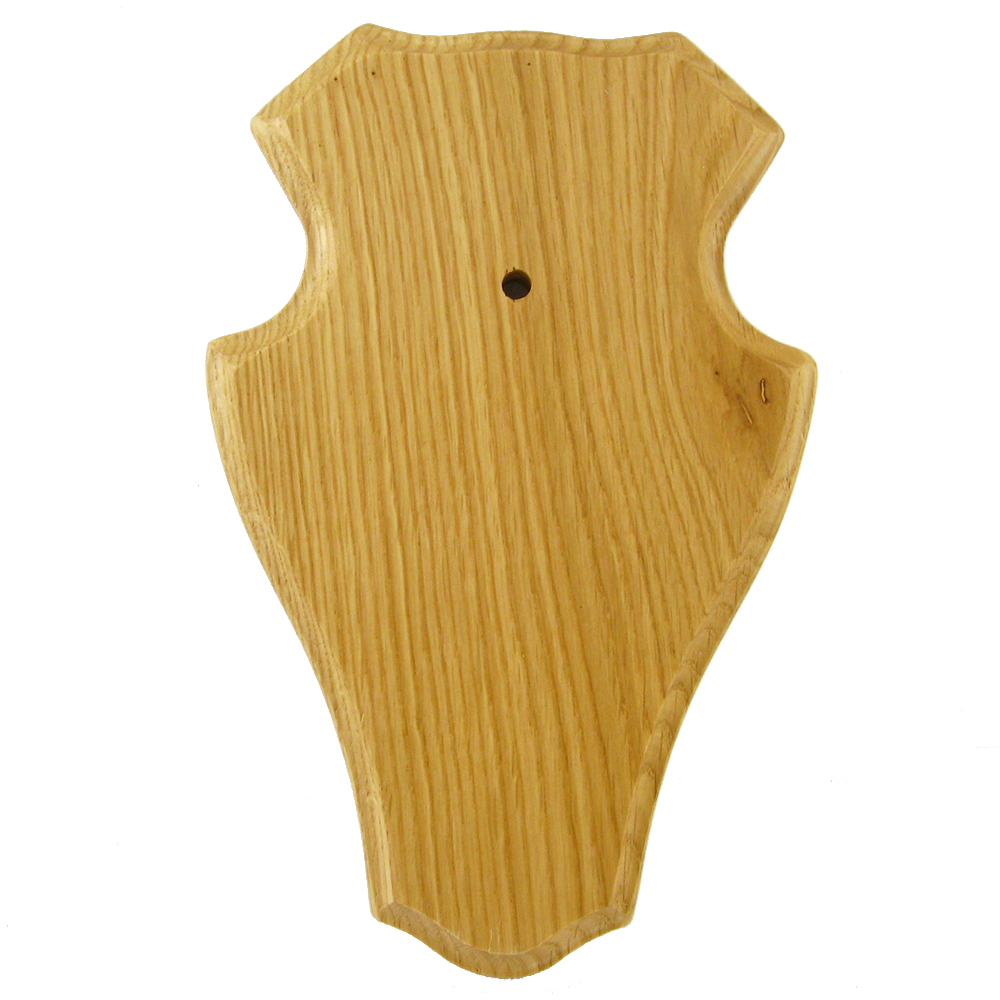 Horn boards for roebucks (bright oak, round) - Taxidermy Accessories