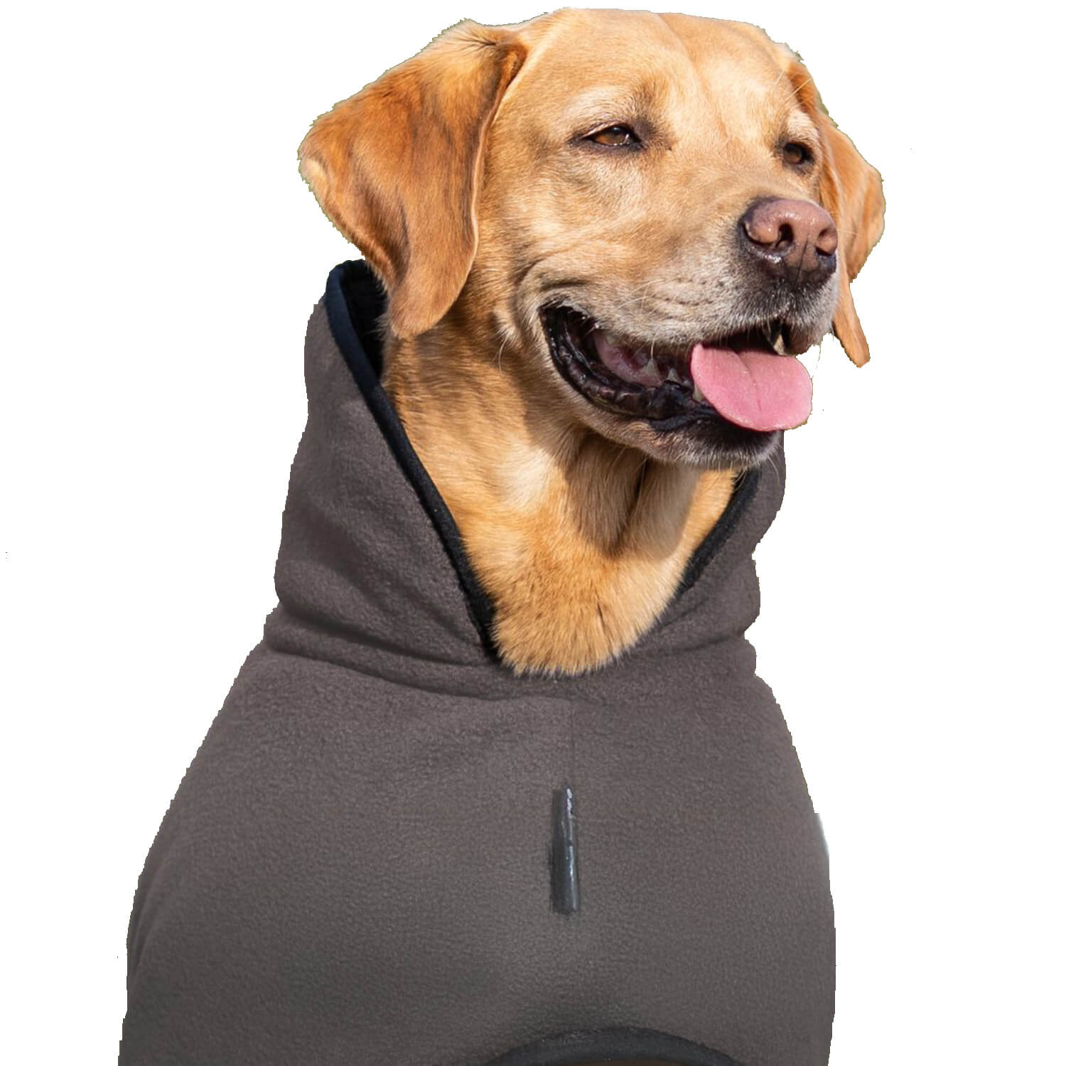Actionfactory dogcape warmup classic (Mocca) - Gun Dog Supply