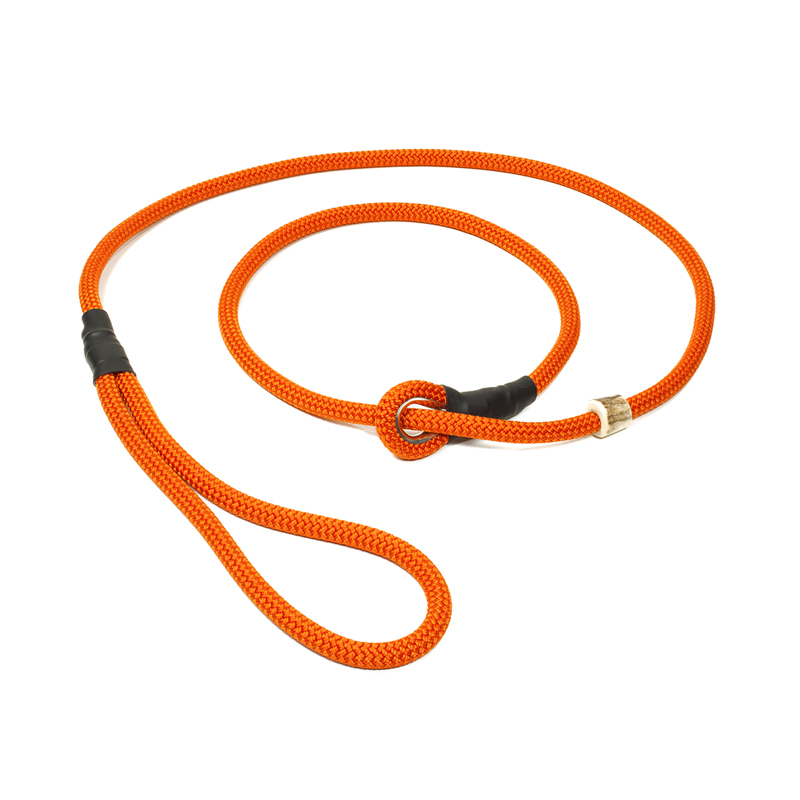 Mystique Moxon Lead (orange) - Leashes & Collars