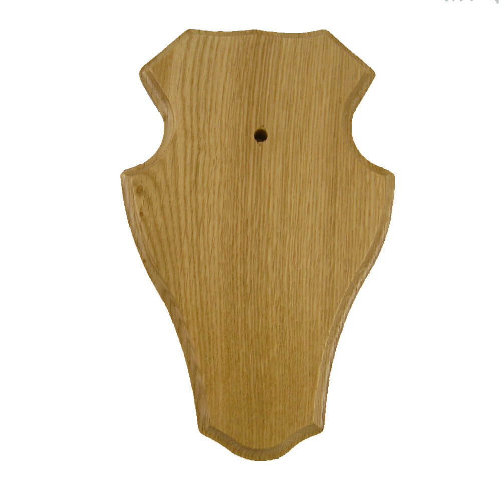 Horn boards mandible box (bright oak, round) - Taxidermy Accessories