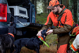 Hundeortung Jagdhund