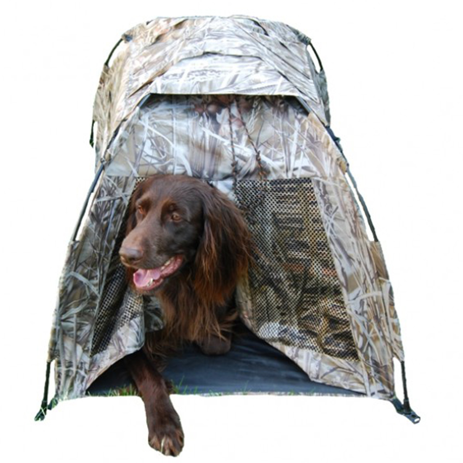 Dog Camo Tent Pop Up